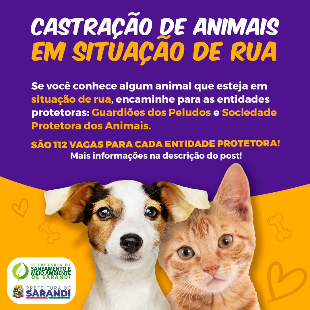 Secretaria de Meio Ambiente anuncia vagas para castração de animais em situação de rua